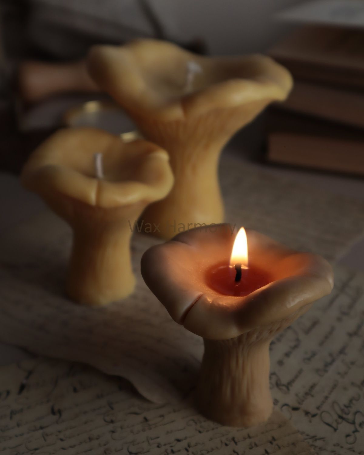 Набір свічок Лисички &mdash; фото Wax Harmony
